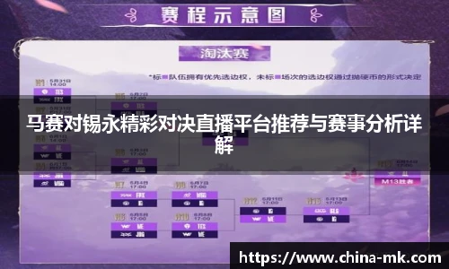 马赛对锡永精彩对决直播平台推荐与赛事分析详解